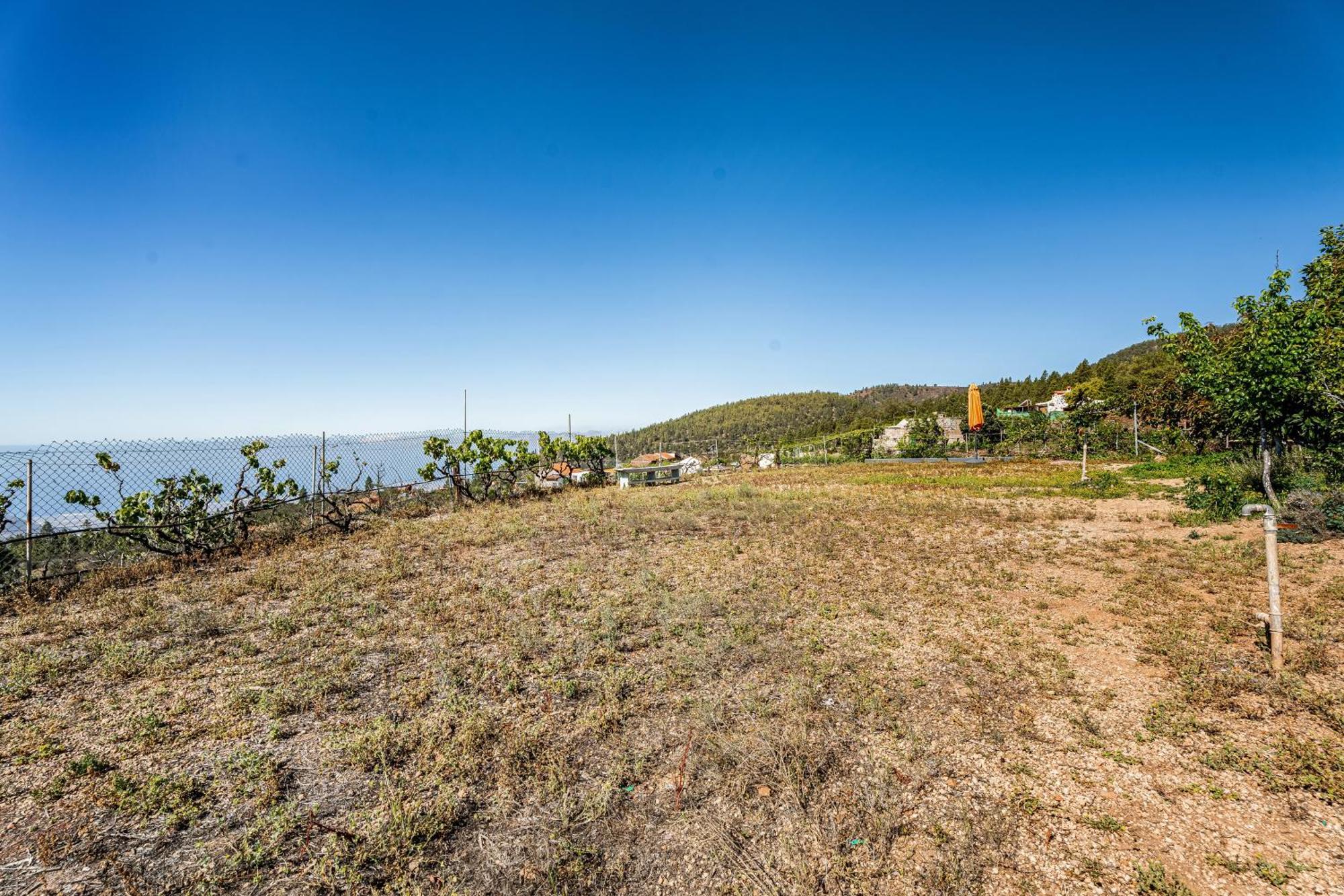 Land Of Dreams 2 Villa Granadilla De Abona Eksteriør bilde